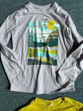 Cat & Jack lot of 2 long sleeve shirts